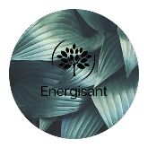ENERGISANT