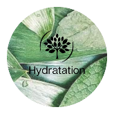 HYDRATATION