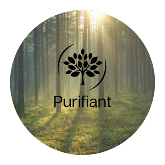 PURIFIANT